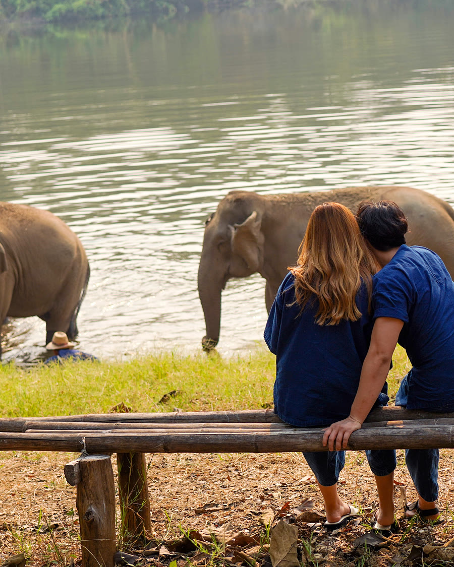 Two visitors sitting on a log watching a herd of Asian elephants bathe in a river